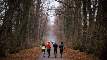 2023---Antwerp-Park-Miles-A
